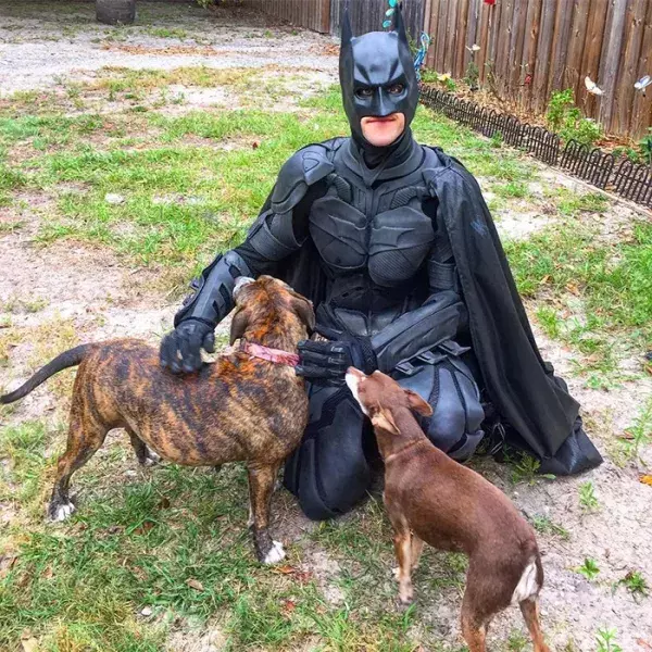 Batman4Paws : 2 nouveaux chiens sauvés