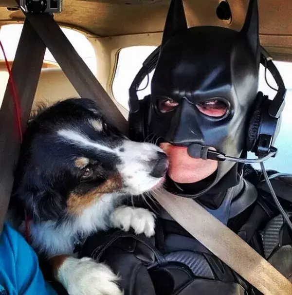 Batman4Paws : certains des animaux ont même le droit à un vol en hélicoptère
