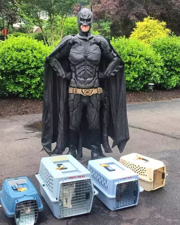 Batman4Paws : c'est pas la batmobile mais c'est mieux que d'être dans la rue