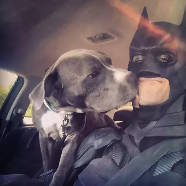 Batman4Paws : Chris n'hésite pas à se mettre en scène pour faciliter l'adoption de ses protégés