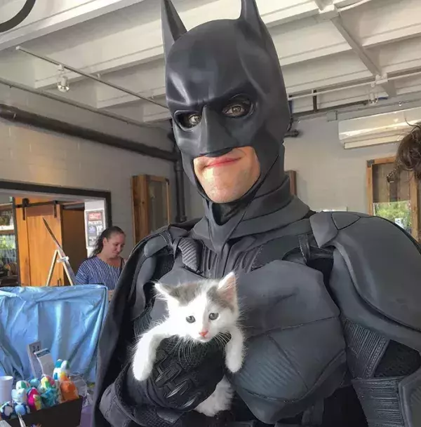 Batman4Paws : encore un chaton sauvé