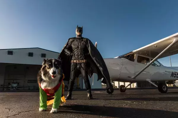 Batman4Paws : la photo la plus badass de Batman et Robin