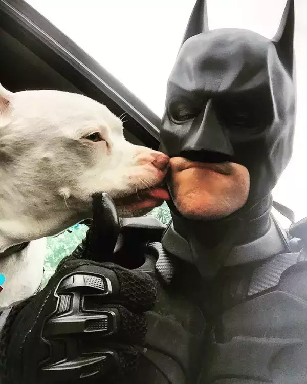 Batman4Paws : trop d'amour pour Batman