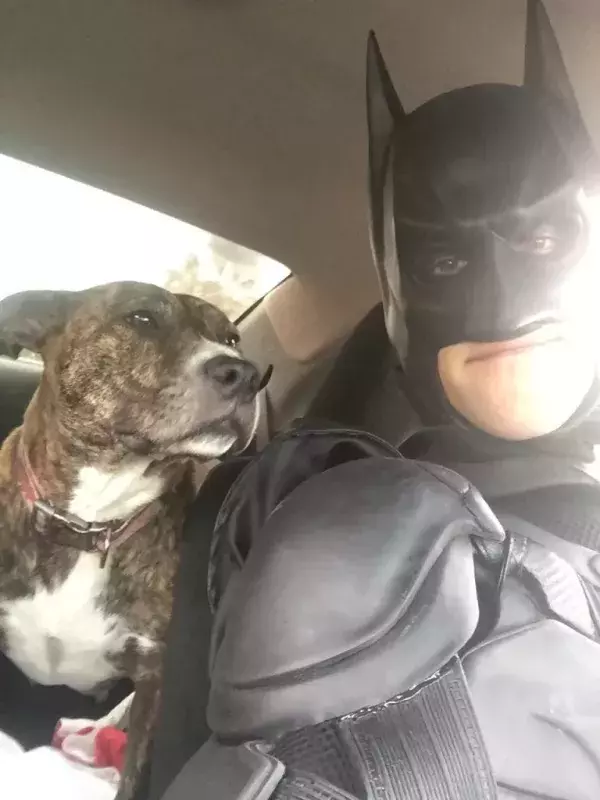 Batman4Paws : une nouvelle âme sauvée des rues