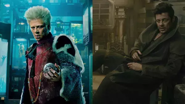 Benicio Del Toro                                           