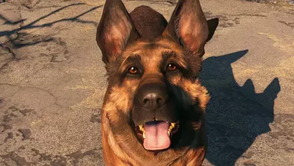 Canigou - Fallout 4