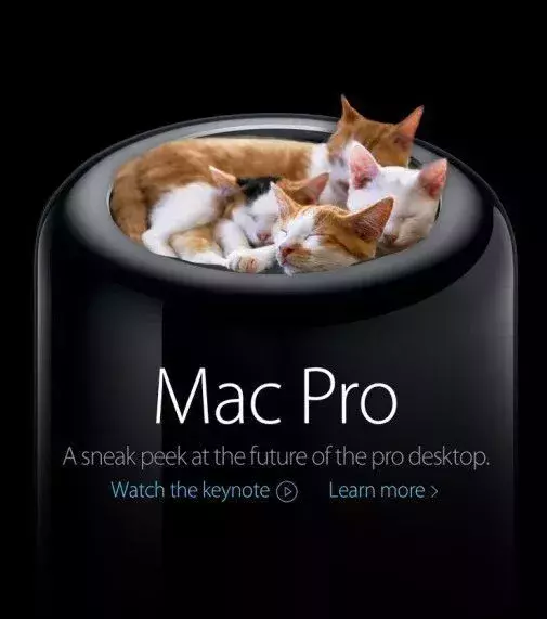 Le Mac Pro d'Apple détourné en panière pour chats