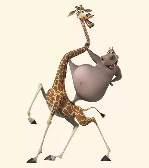 Melman et Gloria - Madagascar
