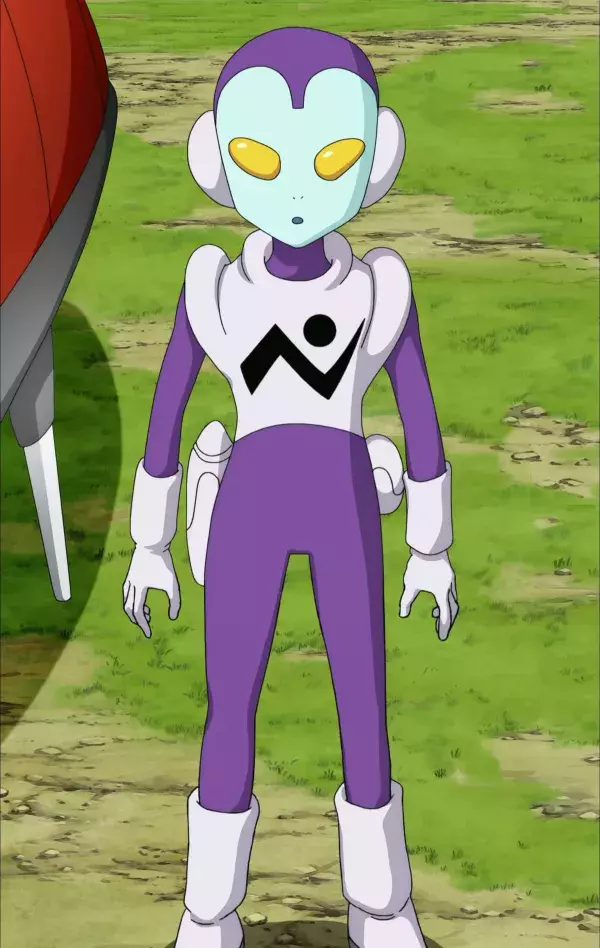 8. Jaco                                                          