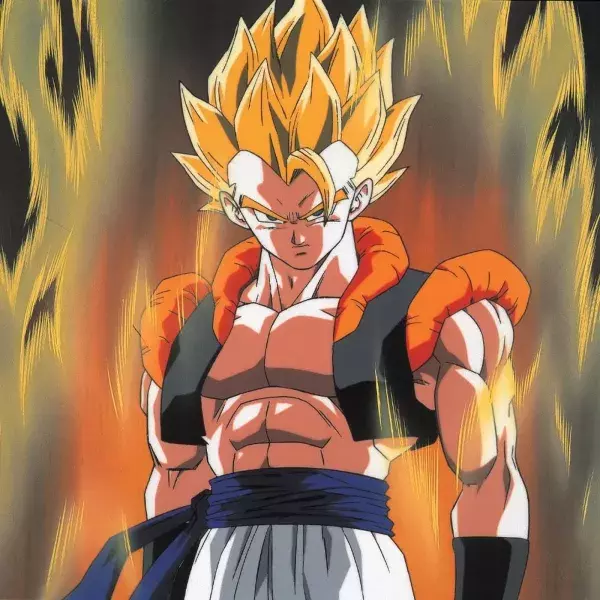 N°2 : Gogeta                                              