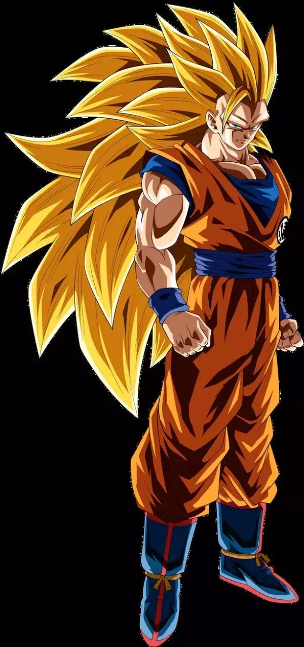 N°5 : Sangoku Super Saïyen 3                                                       