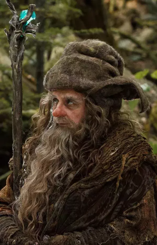 10. Radagast "le Brun" - Saga Le Hobbit                    