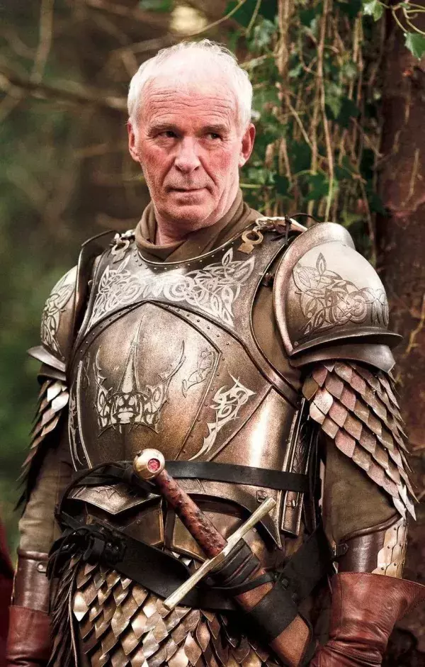 4ème place - Ser Barristan Selmy